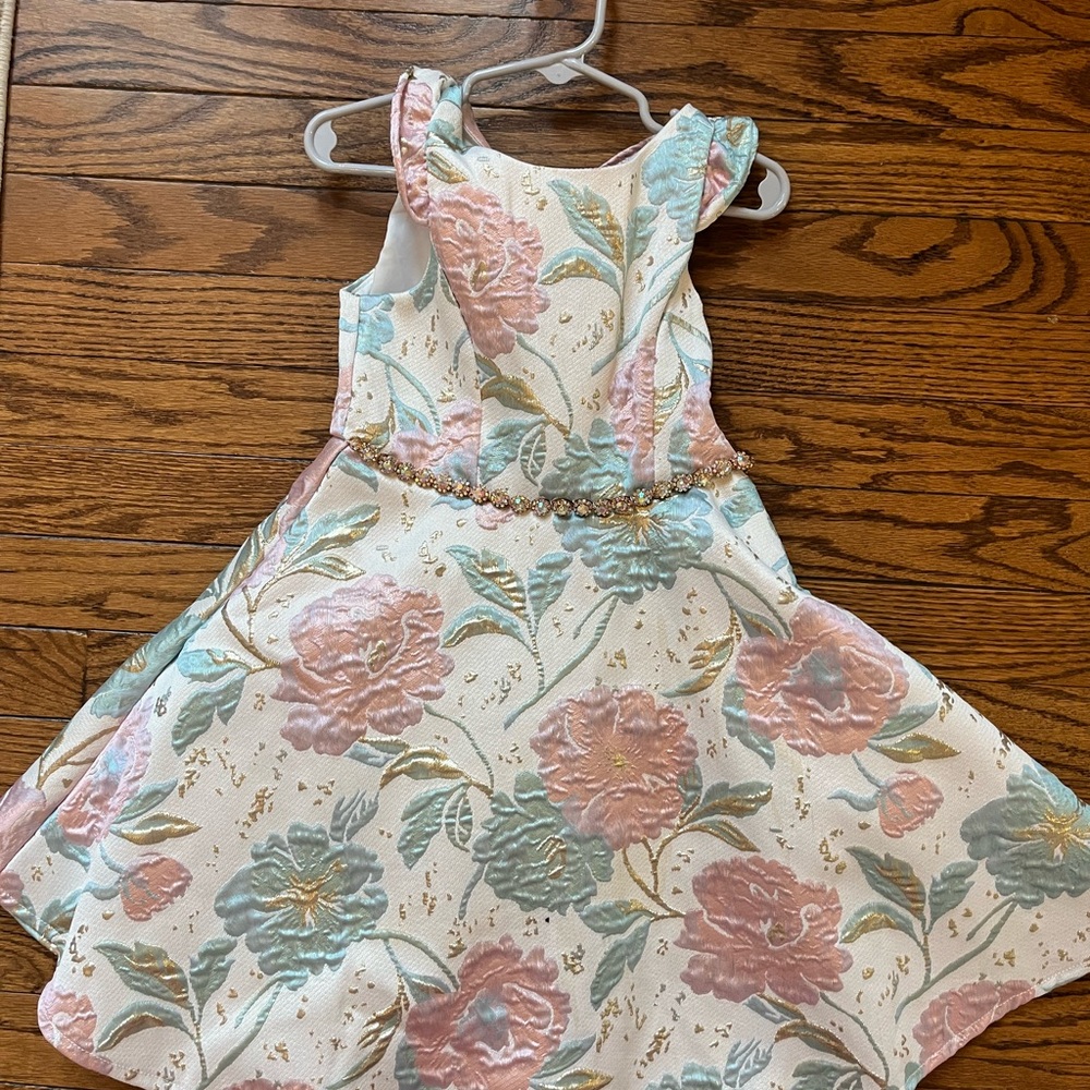 Toddler Girl 4T Embroidered Flower Dress